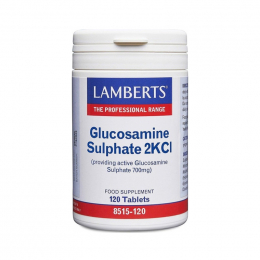 LAMBERTS Vegeterian Glucosamine HCI, 120 tabs