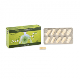PHARMAQ Mastiha Therapy Συμπλήρωμα Μαστίχας Χίου 350 mg, 30 caps