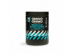 PHYSIS LAB Amino Animo Organic Protein Muscle Synthesis Vanilla Flavor, 500 gr